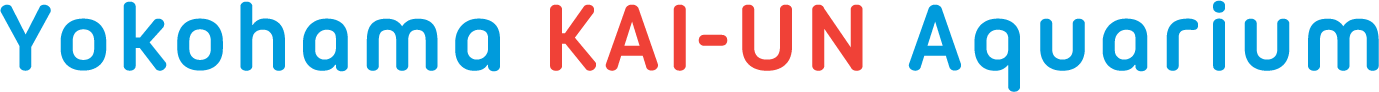 yokohama kai-un aquarium